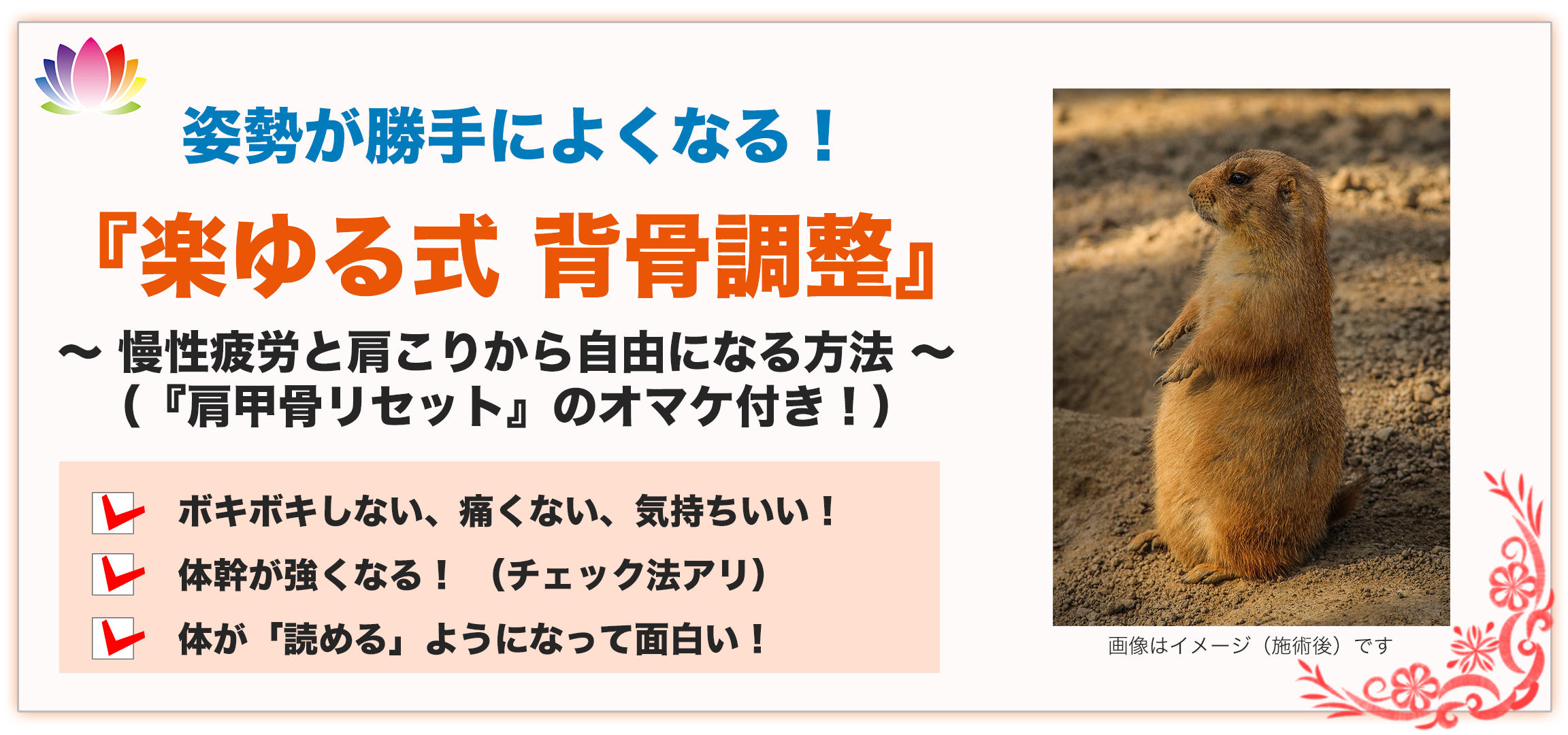 y鎮Lw